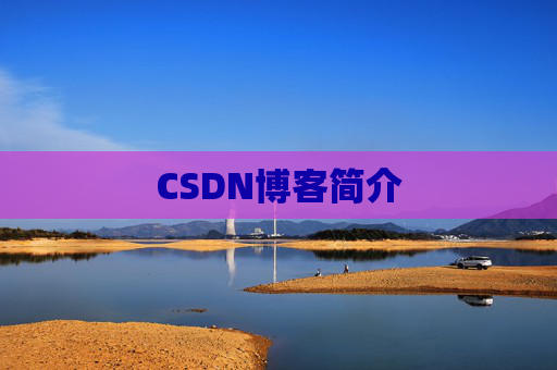 CSDN博客简介